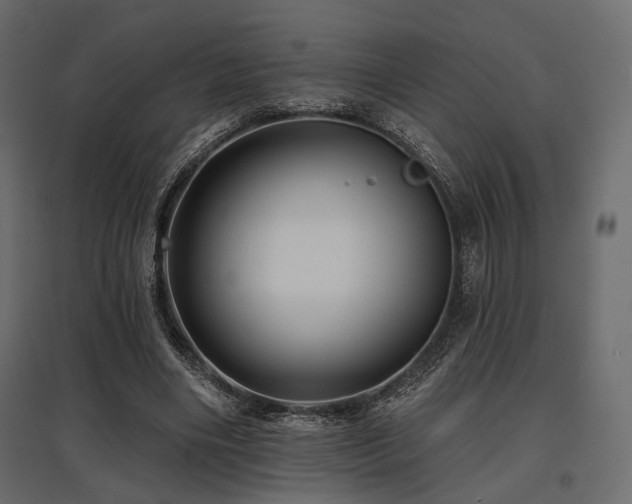 X0000097770490200803071321