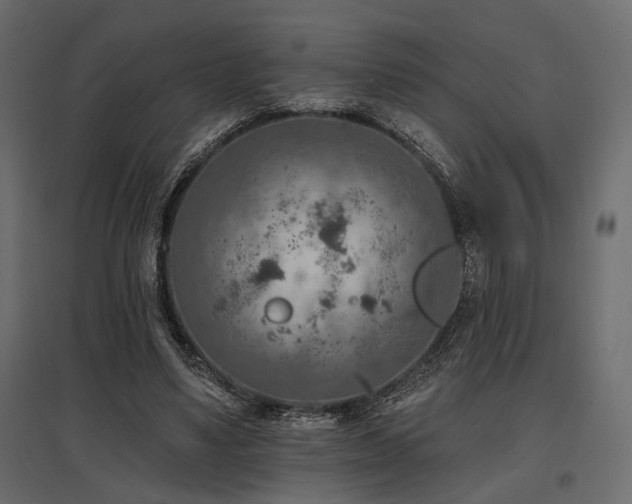 X0000097770491200803071321