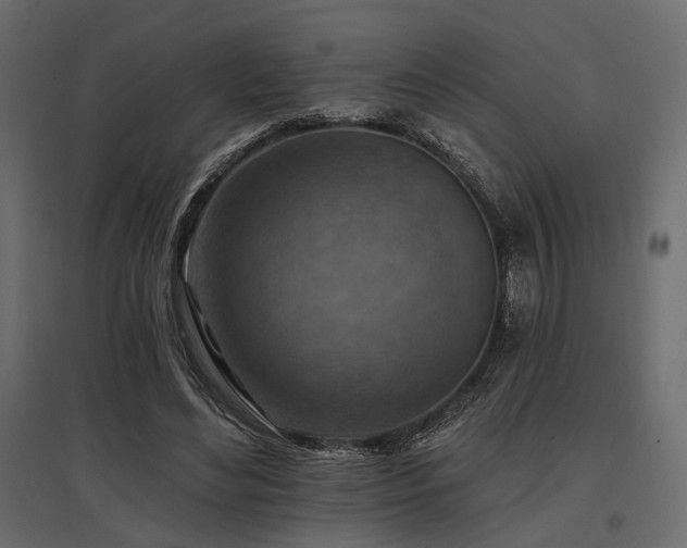 X0000097770492200803071321