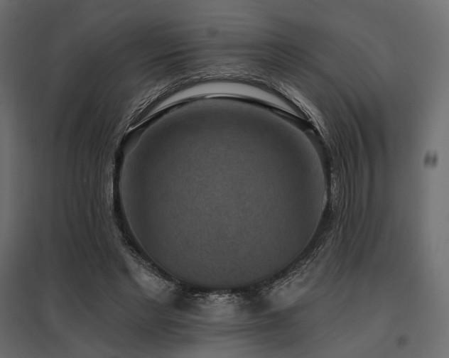 X0000097770493200803071321