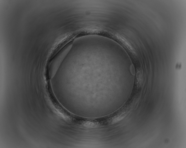 X0000097770494200803071321