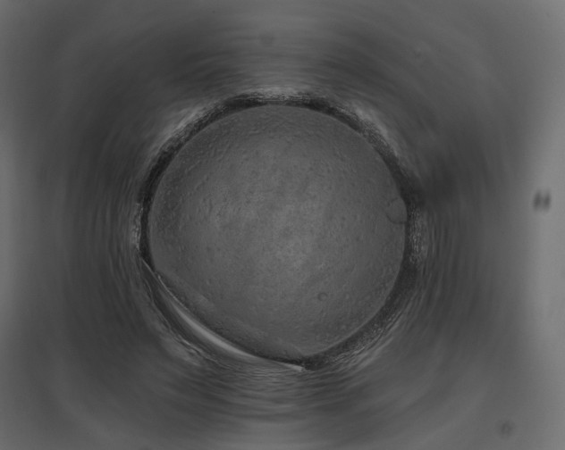 X0000097770495200803071321