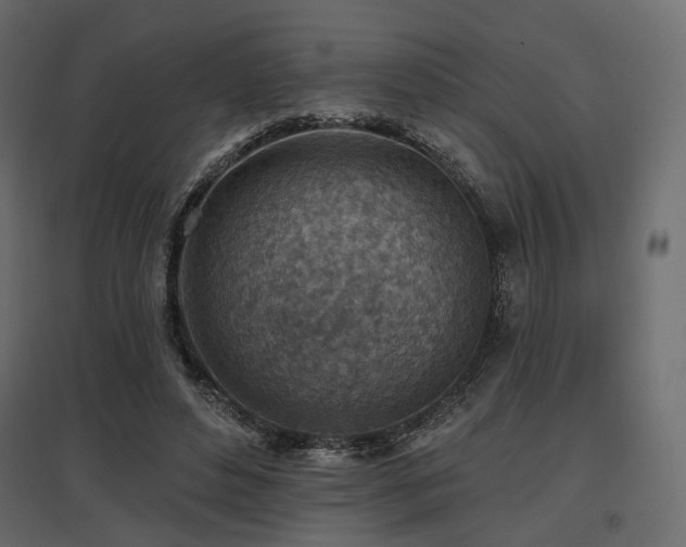 X0000097770496200803071321
