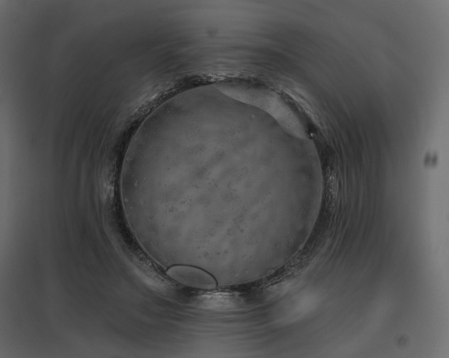 X0000097770499200803071321