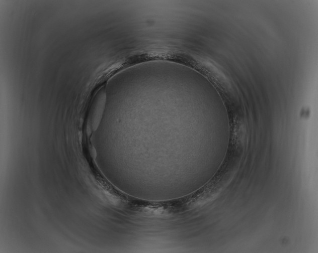 X0000097770502200803071321