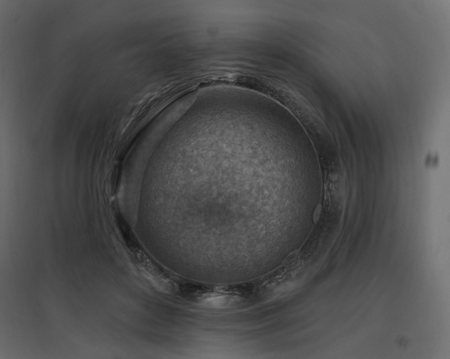 X0000097770504200803071321