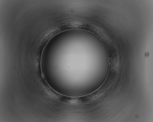 X0000097770505200803071321