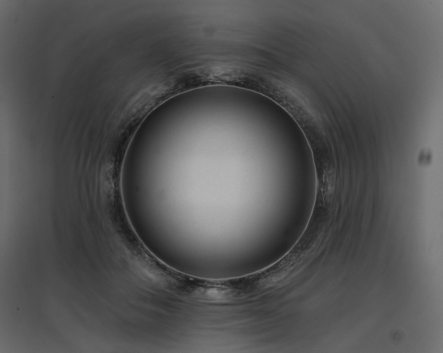 X0000097770506200803071320
