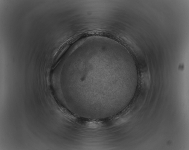 X0000097770508200803071320