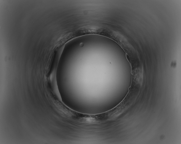 X0000097770509200803071320