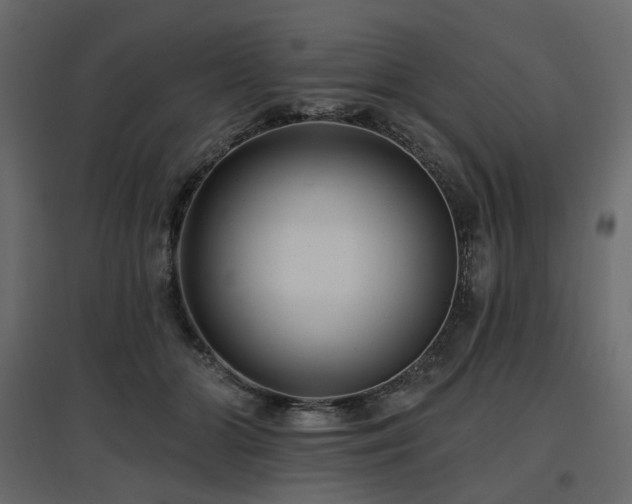 X0000097770510200803071320