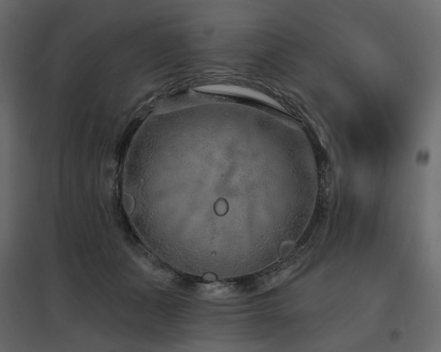 X0000097770511200803071320
