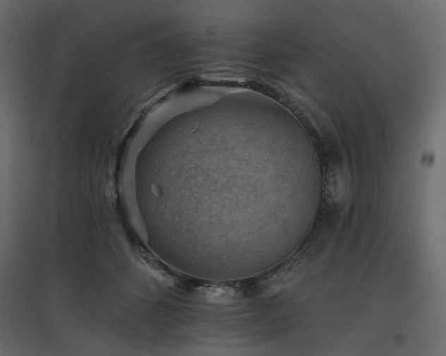 X0000097770512200803071320