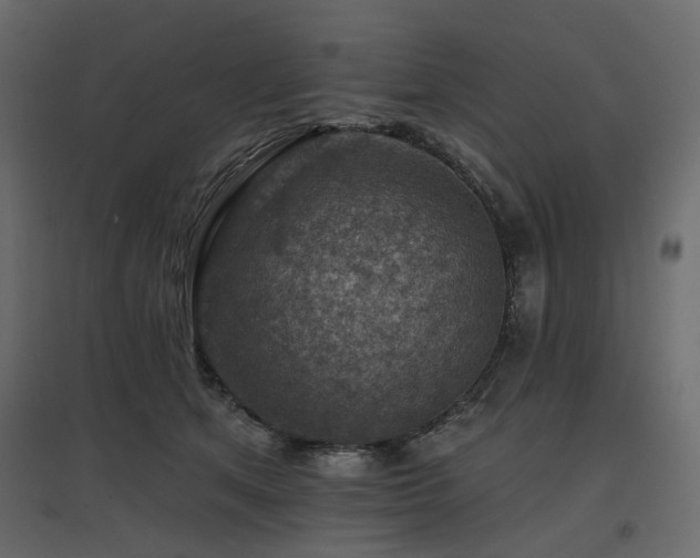 X0000097770513200803071320