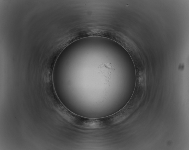 X0000097770514200803071320