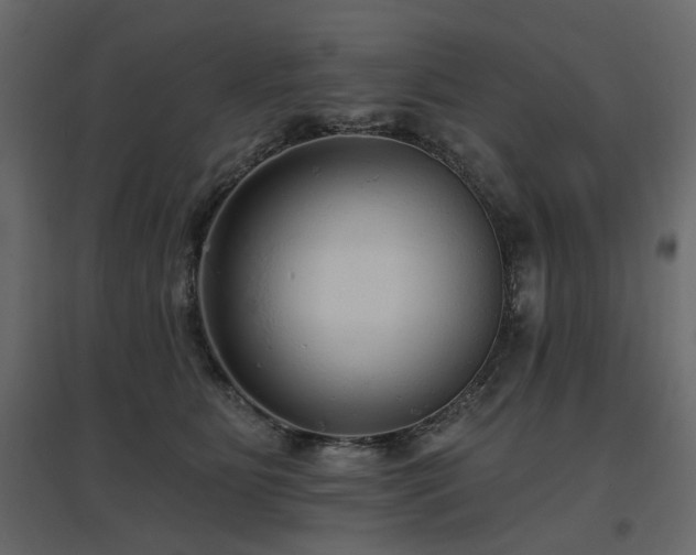 X0000097770515200803071320