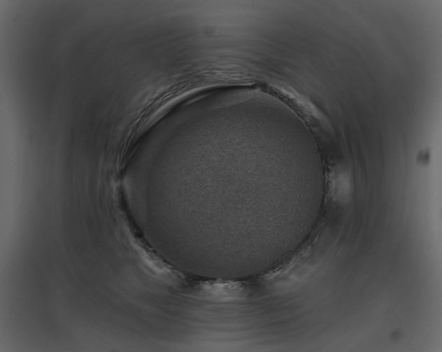 X0000097770517200803071320