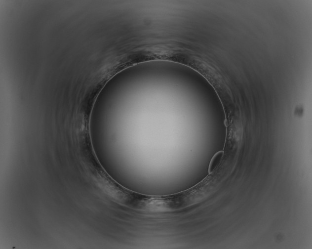 X0000097770518200803071320