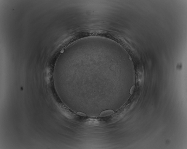 X0000097770519200803071320