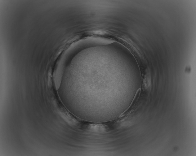 X0000097770520200803071320