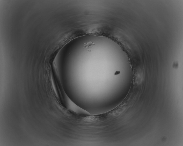 X0000097770521200803071320