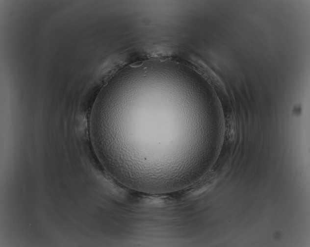 X0000097770523200803071320