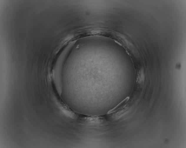 X0000097770524200803071320