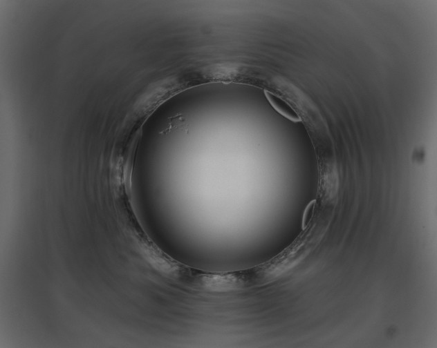 X0000097770525200803071320