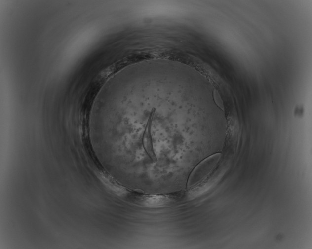 X0000097770527200803071320