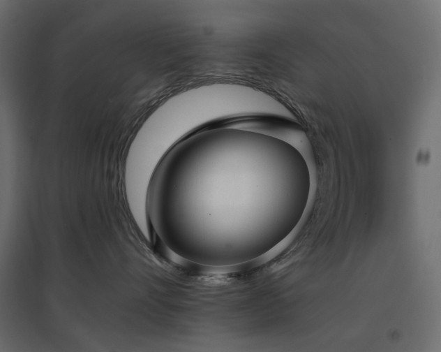 X0000097770528200803071320