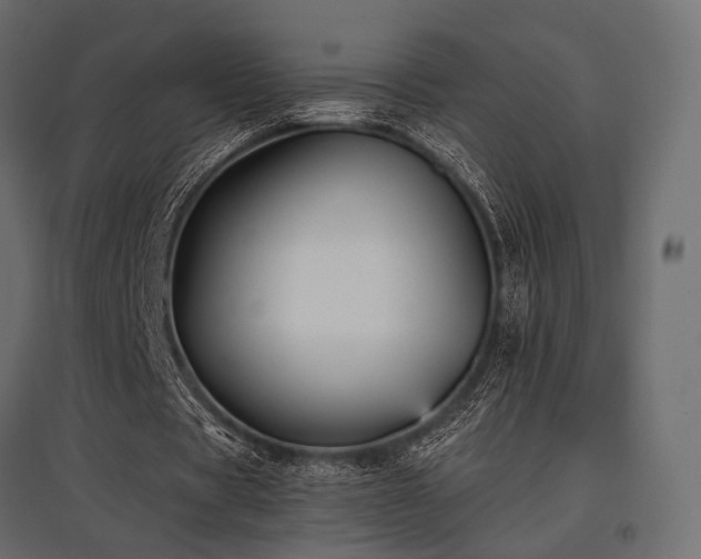 X0000097770529200803071319