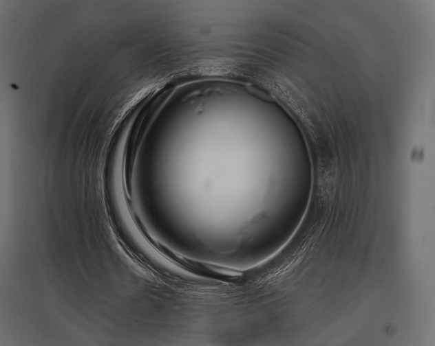 X0000097770530200803071319