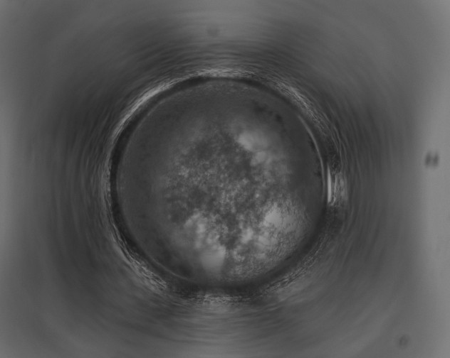 X0000097770531200803071319