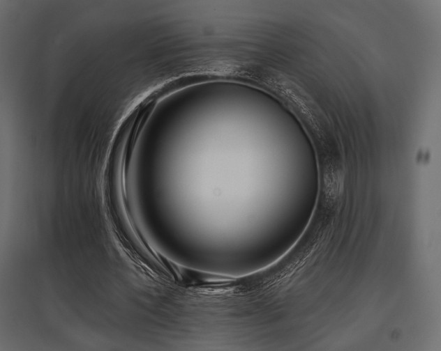 X0000097770532200803071319