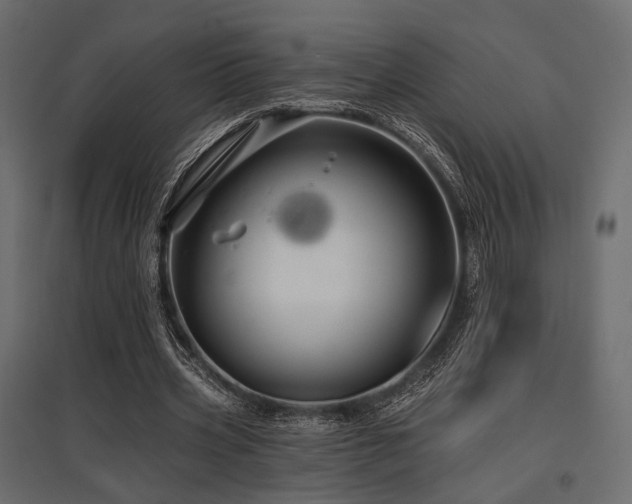 X0000097770533200803071319