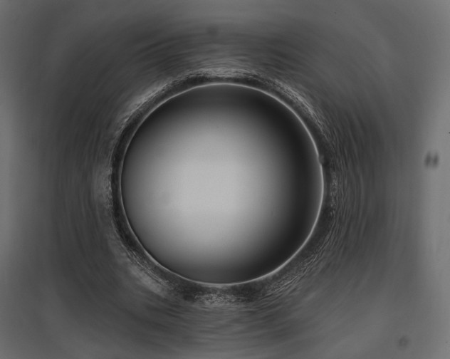 X0000097770535200803071319