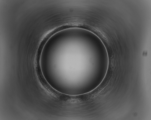 X0000097770536200803071319