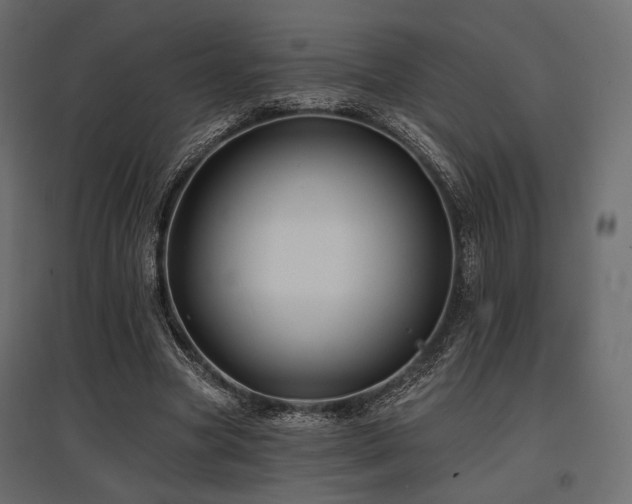 X0000097770537200803071319