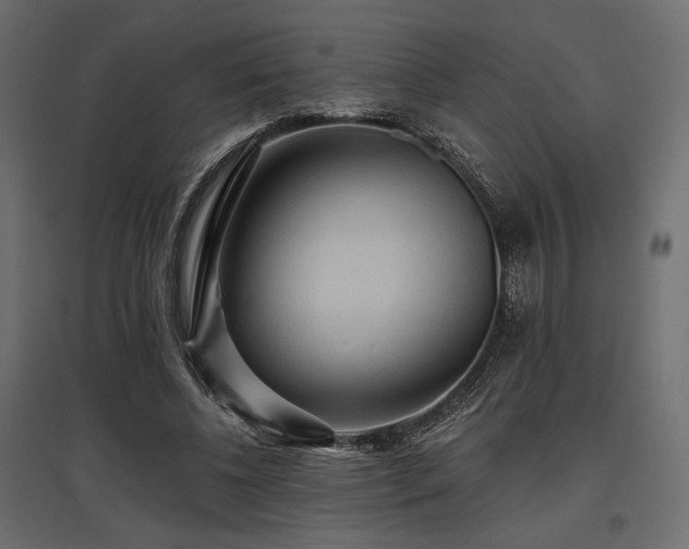 X0000097770540200803071319
