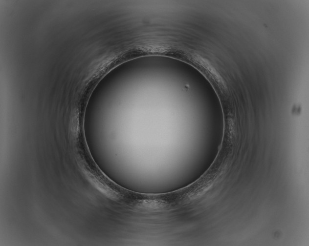 X0000097770541200803071319