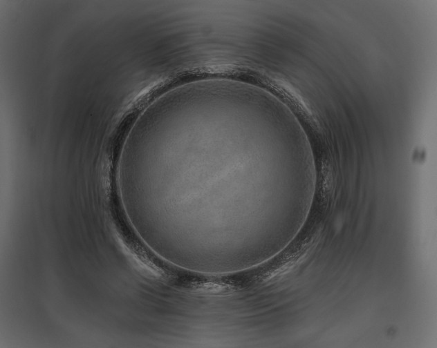 X0000097770542200803071319