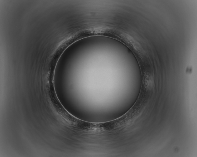 X0000097770543200803071319