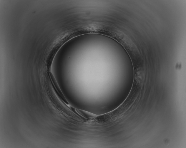 X0000097770544200803071320