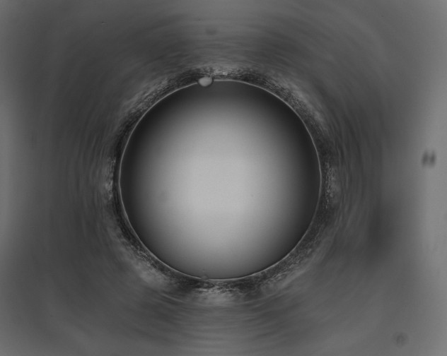 X0000097770545200803071320