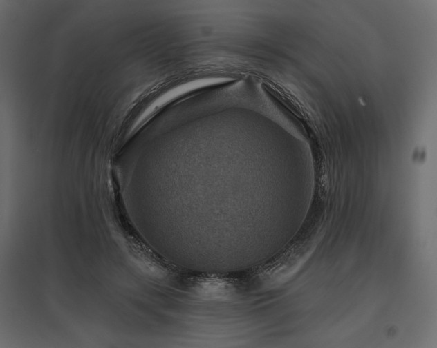 X0000097770547200803071320