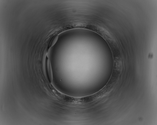 X0000097770550200803071320
