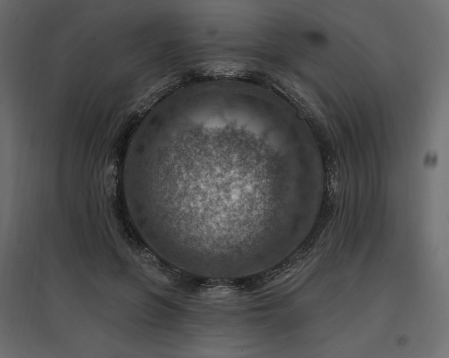 X0000097770551200803071320