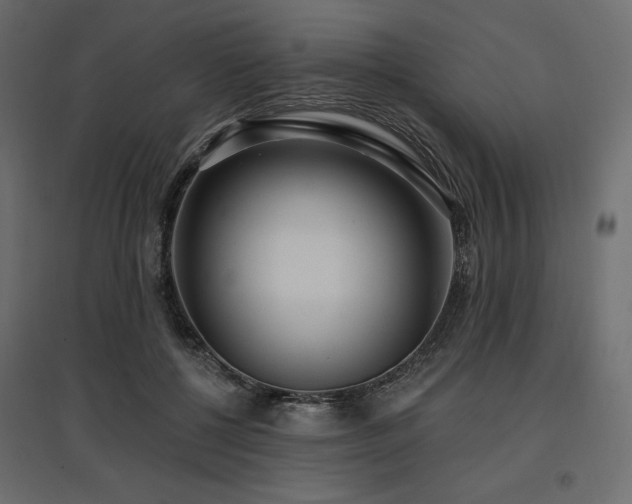 X0000097770552200803071320