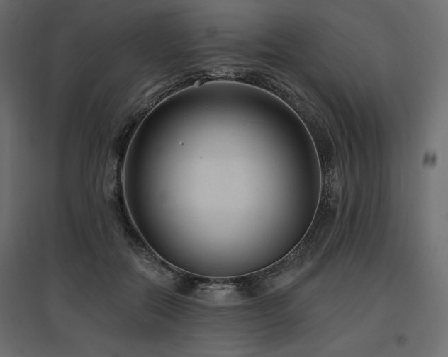 X0000097770554200803071320