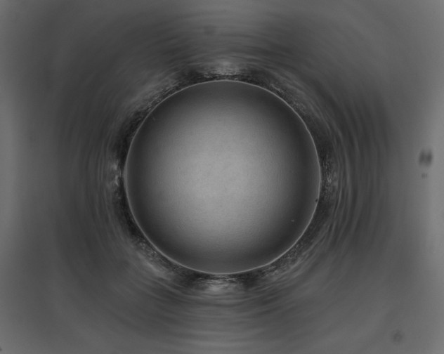 X0000097770555200803071320